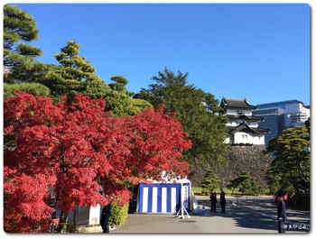 富士見櫓と紅葉.JPG